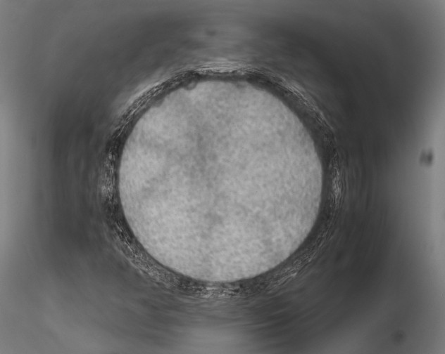 X0000115191350200912091101