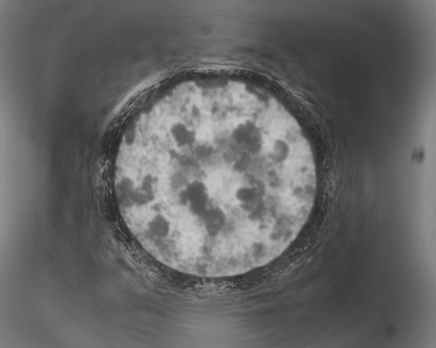 X0000115191351200912091101