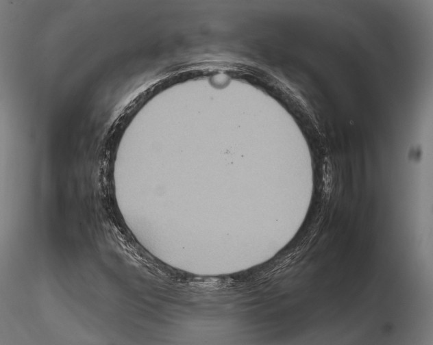 X0000115191352200912091101