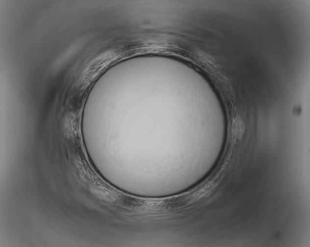 X0000115191353200912091101