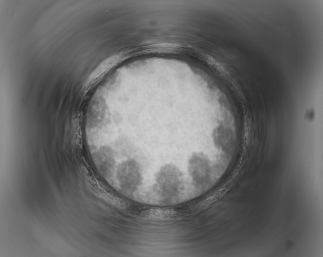 X0000115191354200912091101