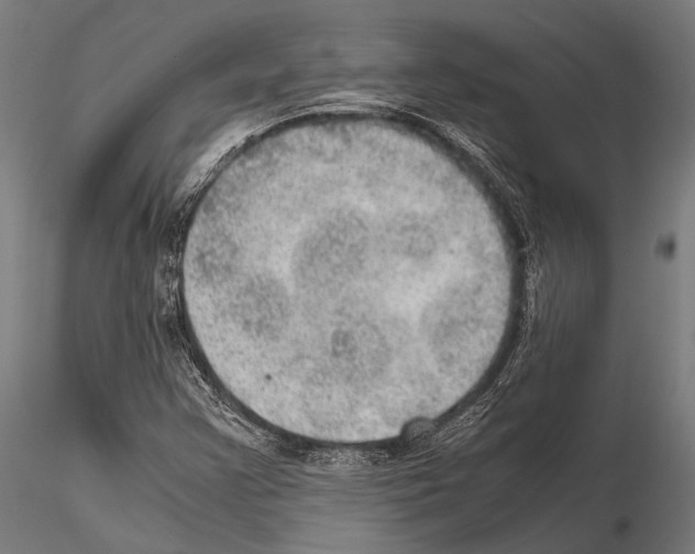 X0000115191355200912091101