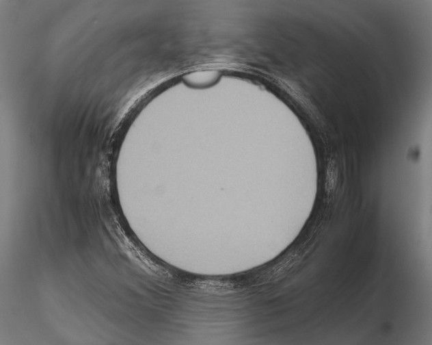 X0000115191356200912091101