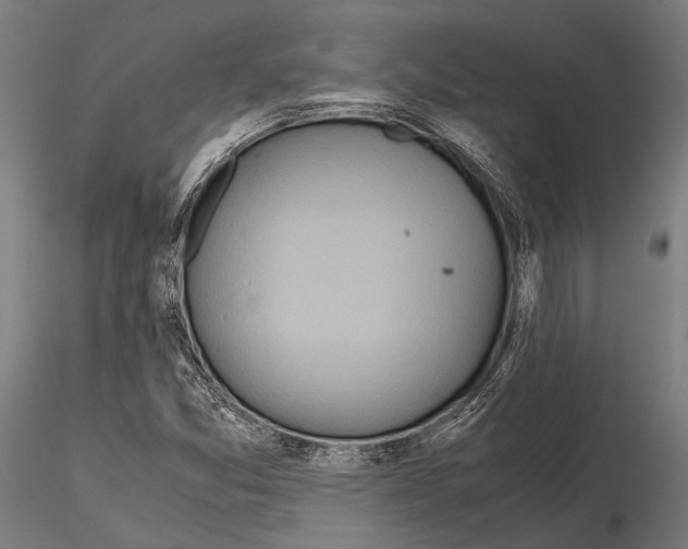 X0000115191357200912091101