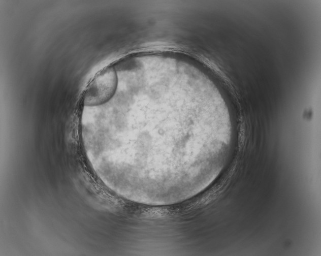 X0000115191358200912091101