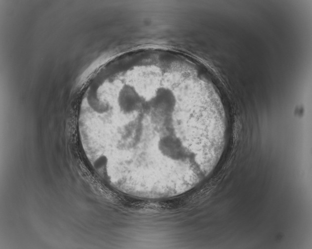 X0000115191359200912091101