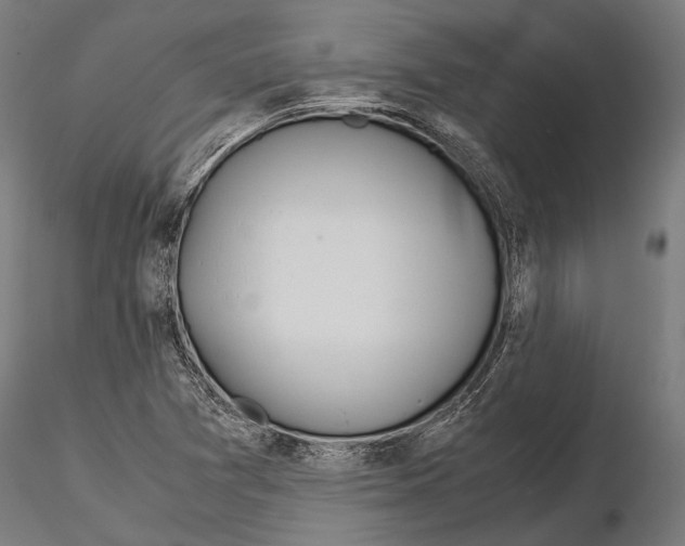 X0000115191361200912091101