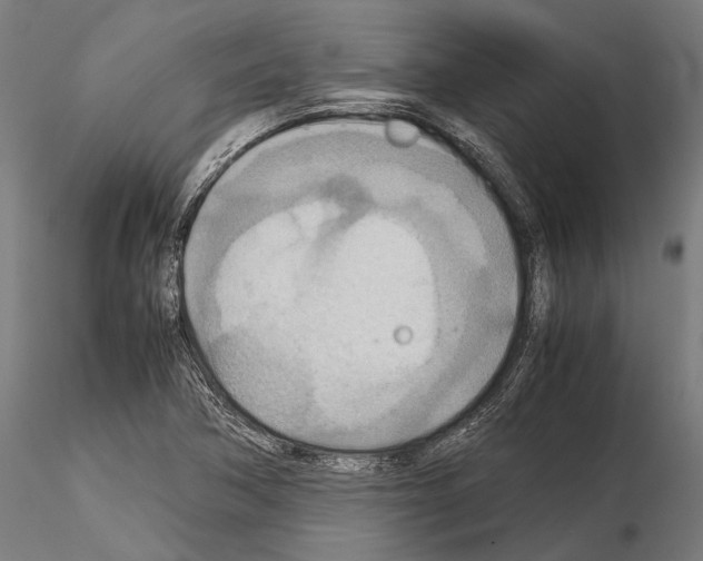 X0000115191362200912091101