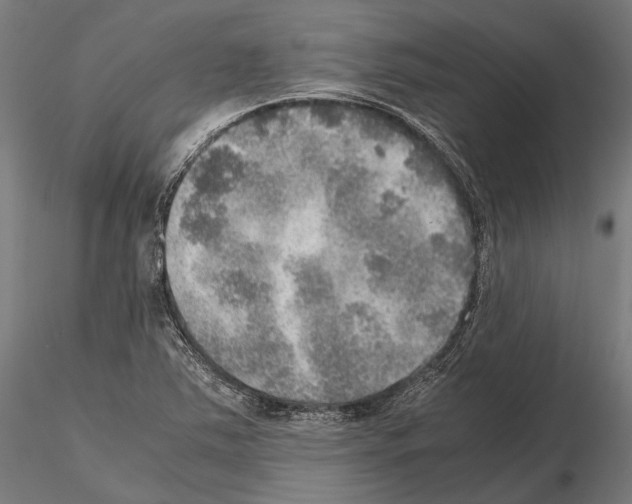 X0000115191363200912091101