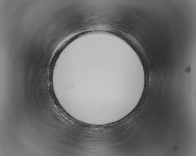 X0000115191364200912091101