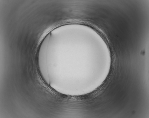 X0000115191365200912091101