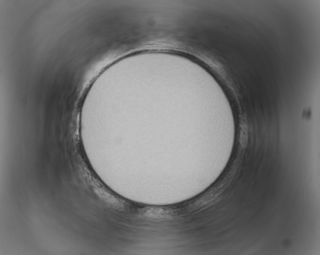 X0000115191366200912091101