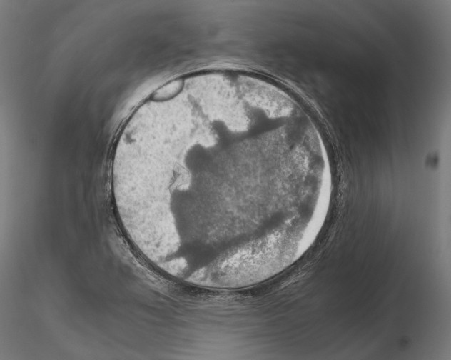 X0000115191367200912091101