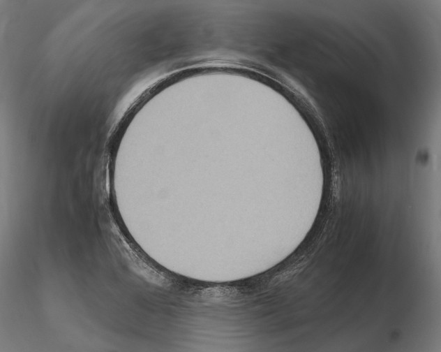 X0000115191368200912091101