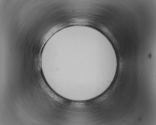 X0000115191370200912091101