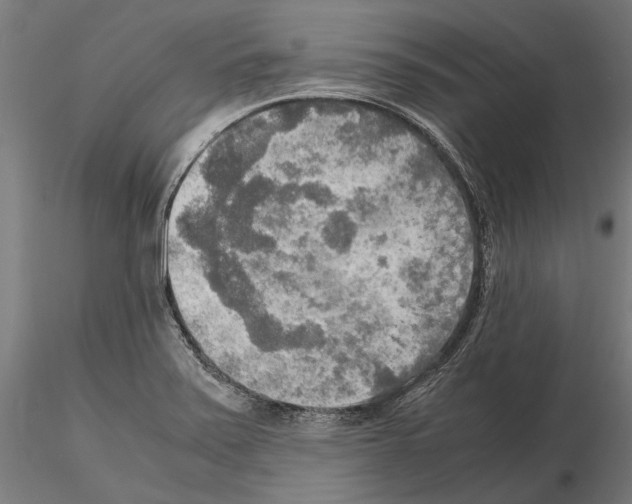 X0000115191371200912091101