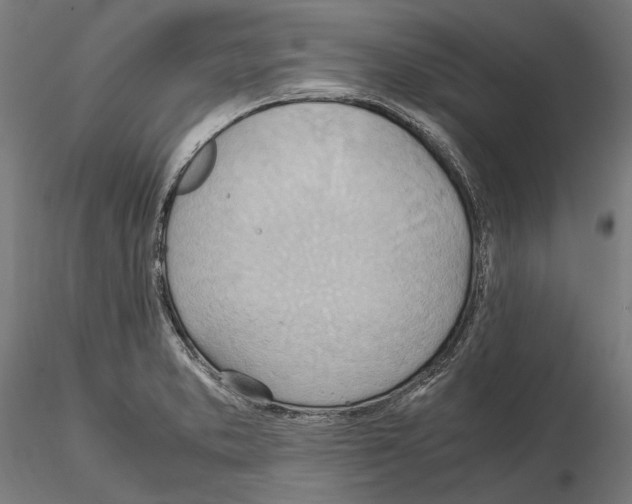 X0000115191373200912091100