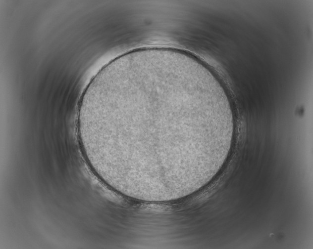 X0000115191374200912091100