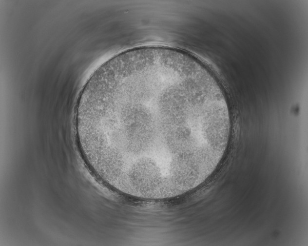 X0000115191375200912091100