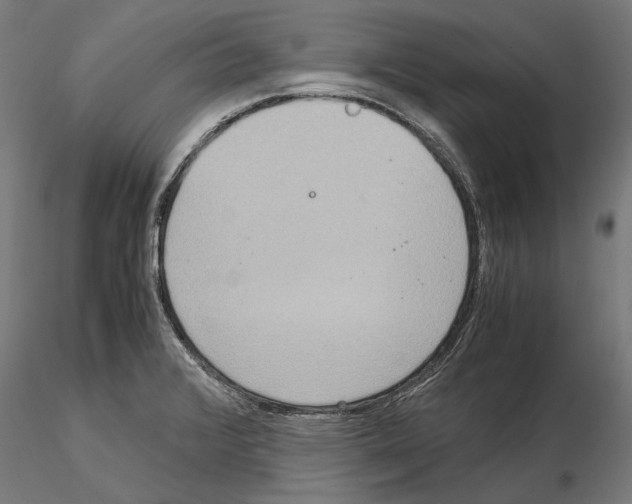 X0000115191376200912091100