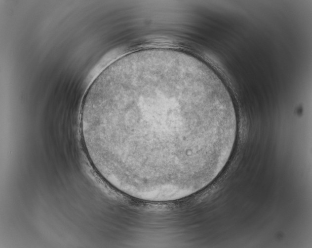 X0000115191378200912091100