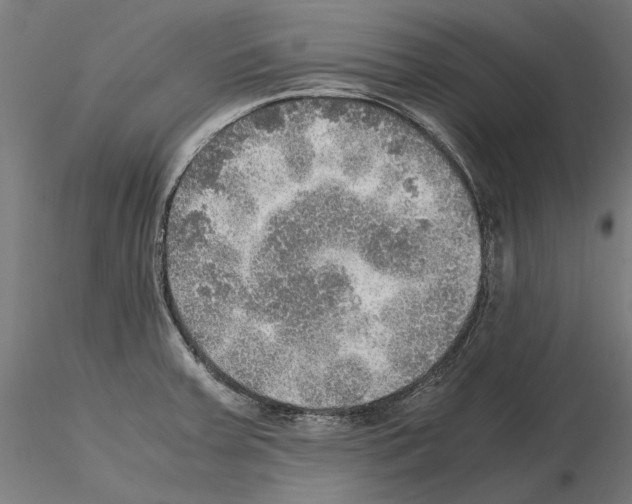 X0000115191379200912091100