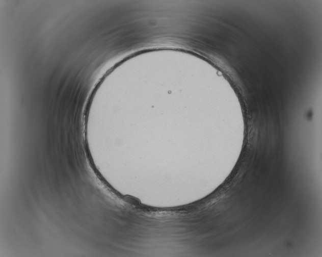 X0000115191380200912091100