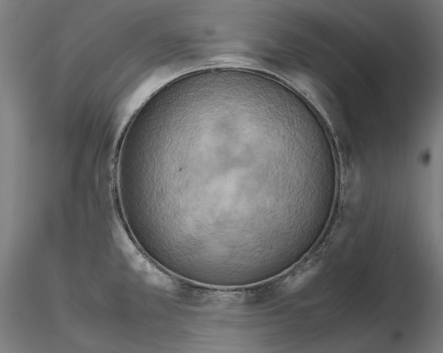 X0000115191381200912091100