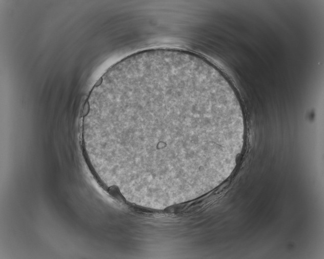 X0000115191383200912091100