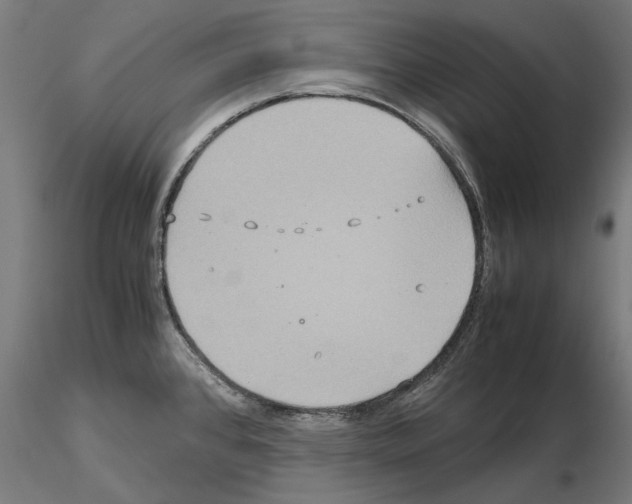 X0000115191384200912091100