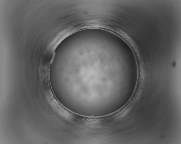 X0000115191385200912091100