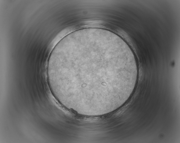 X0000115191386200912091100