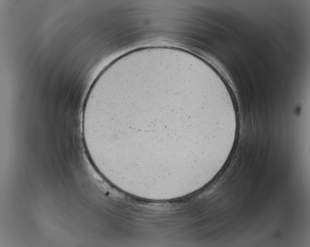 X0000115191388200912091100