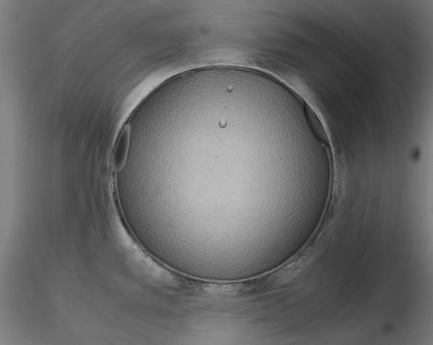 X0000115191389200912091100