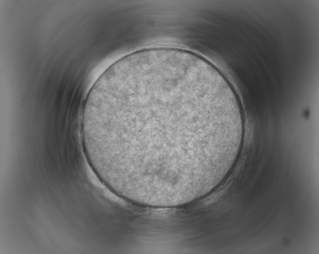 X0000115191390200912091100