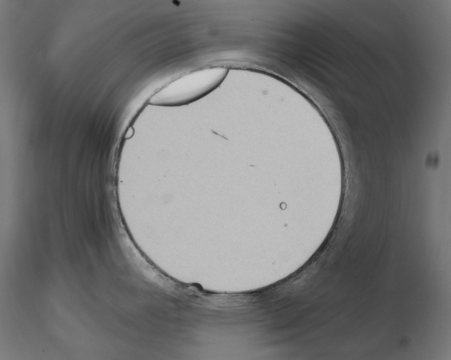 X0000115191392200912091100