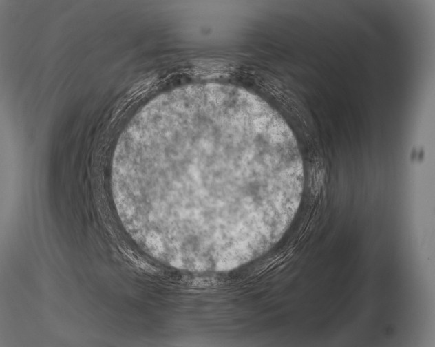 X0000115191393200912091059