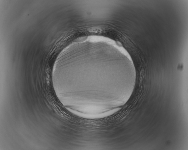 X0000115191394200912091059