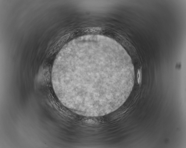 X0000115191395200912091059