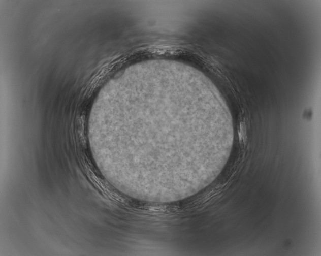 X0000115191396200912091059