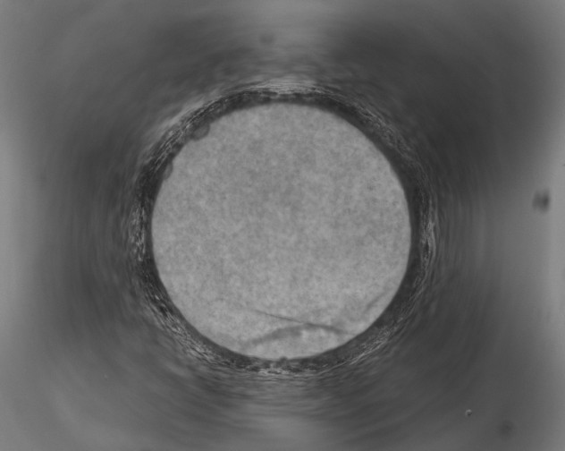 X0000115191398200912091059