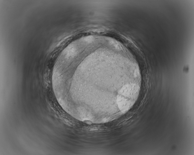 X0000115191399200912091059