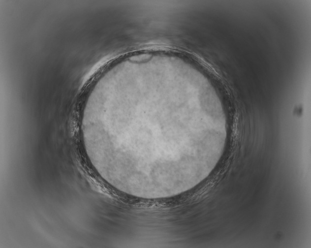 X0000115191400200912091059