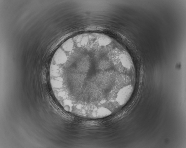 X0000115191401200912091059