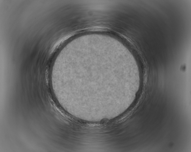 X0000115191402200912091100