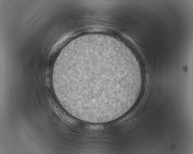 X0000115191403200912091100