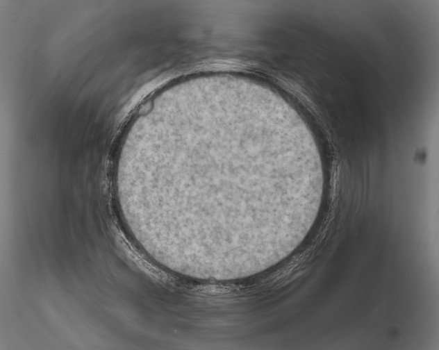 X0000115191404200912091100