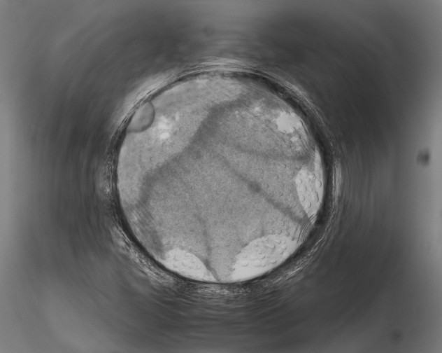 X0000115191405200912091100