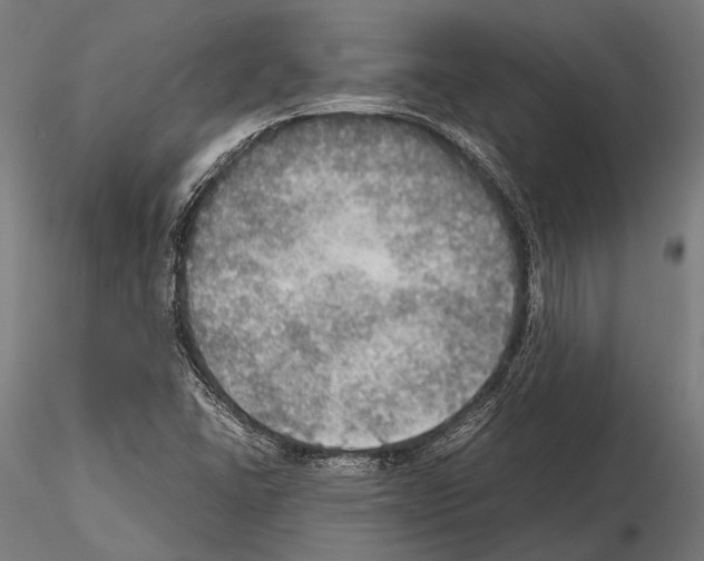 X0000115191406200912091100