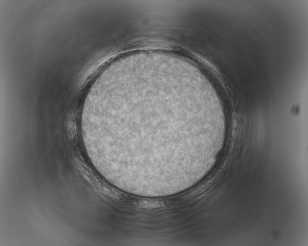 X0000115191407200912091100